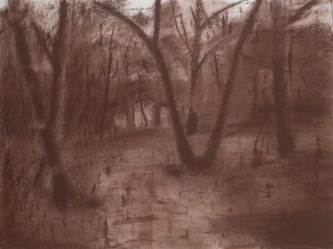 Czink Ibolya Beatrix: Erdő esőben, 2011, pasztell · pittkréta