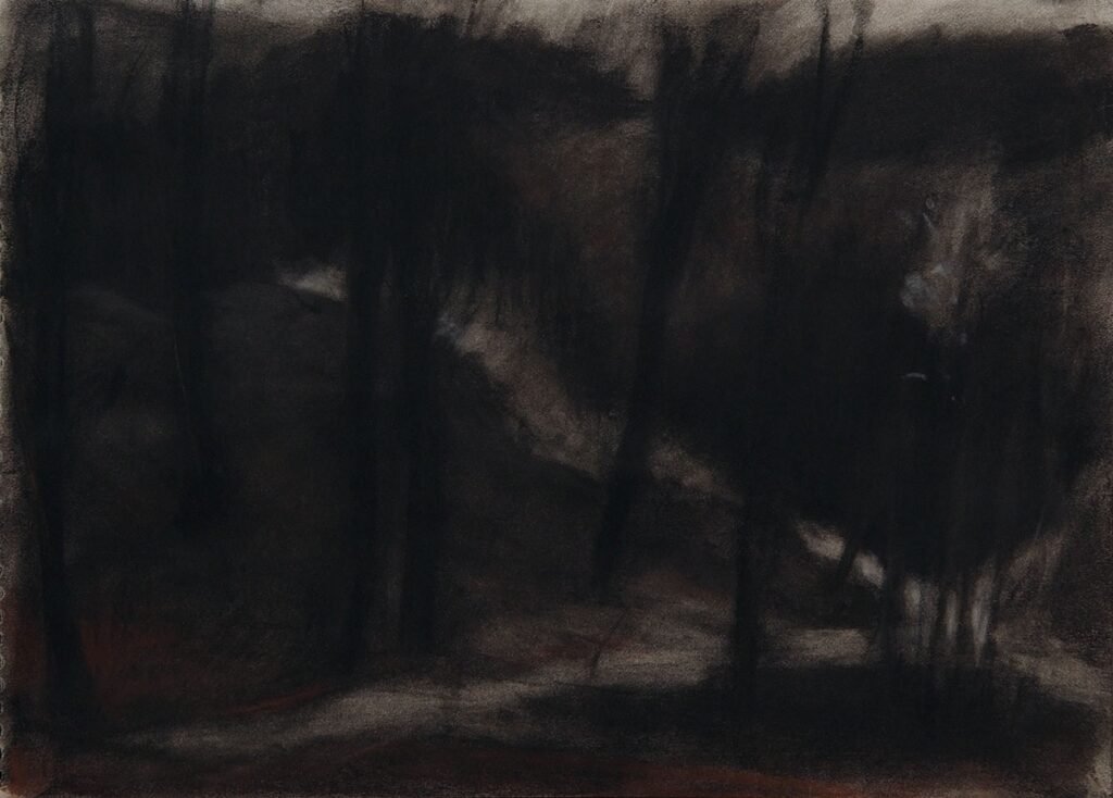 Czink Ibolya Beatrix: Erdei X, 2014, szénrajz