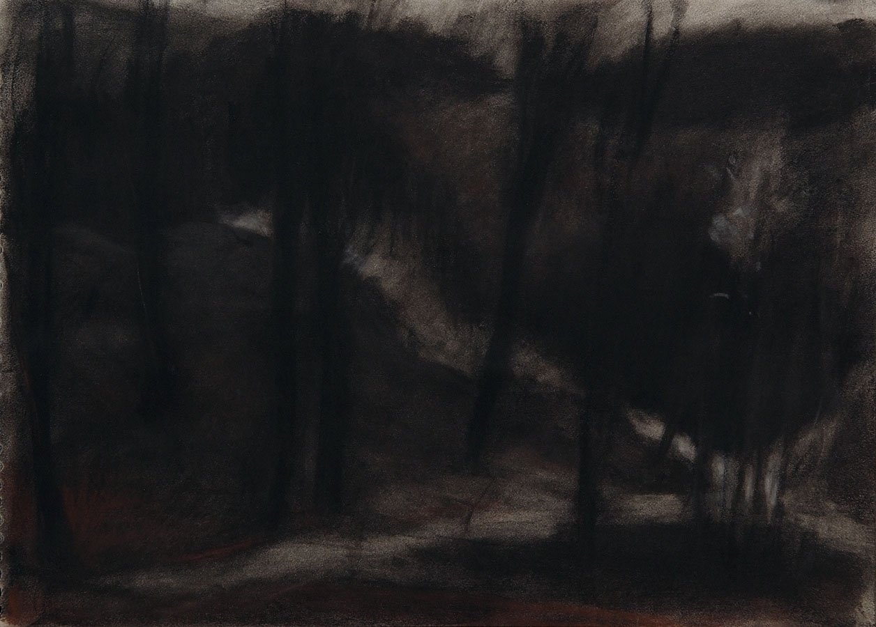 Czink Ibolya Beatrix: Erdei X, 2014, szénrajz