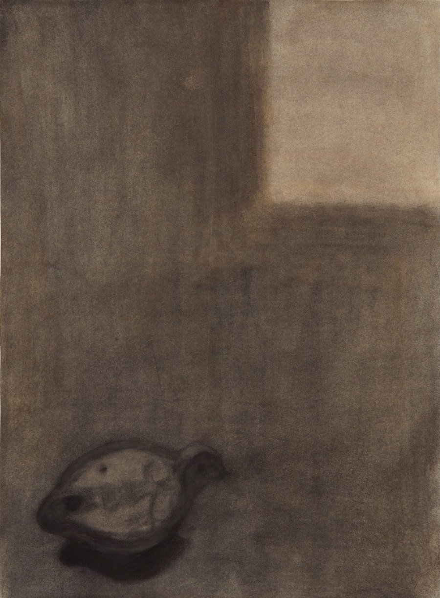 Czink Ibolya Beatrix: Ablakban, 2015, szénrajz