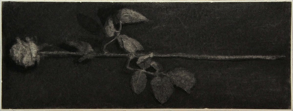 Czink Ibolya Beatrix: Vágott virág…, 2016, szénrajz