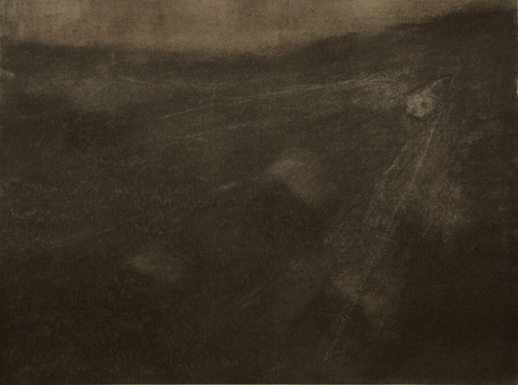 Czink Ibolya Beatrix: Noé II., 2016, szénrajz
