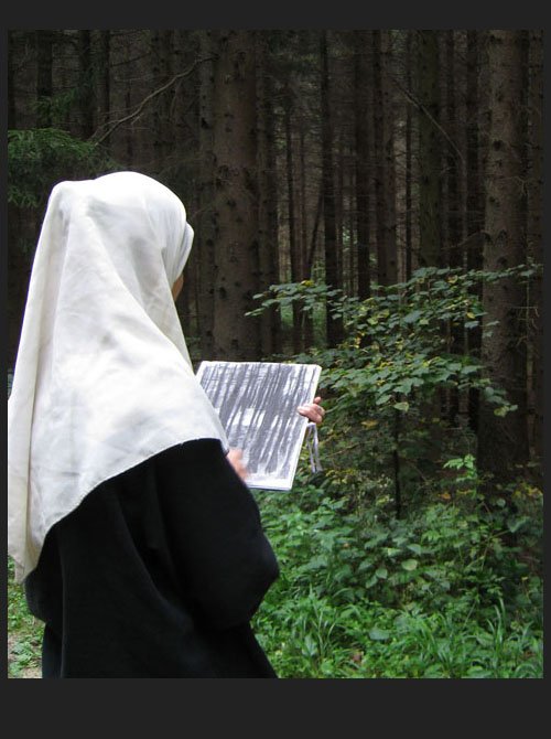 Czink Ibolya Beatrix: Szénrajzok